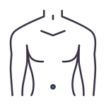 torso